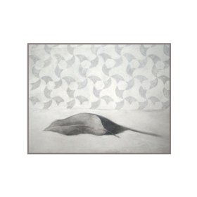 104      Ref. 204    Medidas: 83 x 102 cm
