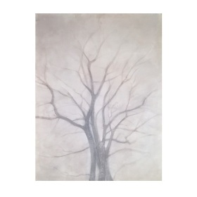 007    Ref. 548 - Medidas: 130 x 97 cm